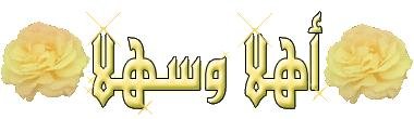 8eda8fb916.jpg