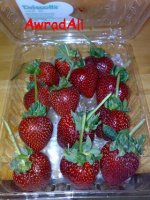 200907081256.jpg