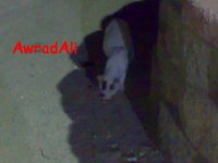 200907161371.jpg