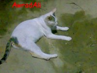 200907171404.jpg