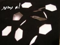 222.JPG