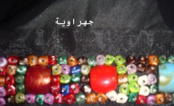 DSC02720.JPG