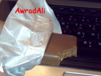 200908041575.jpg
