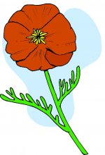 STFLO014.jpg