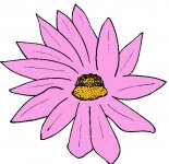 STFLO036.jpg