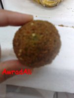 22112009537.jpg
