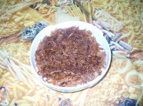 سلطة المقليات2.JPG