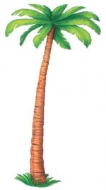 cutout_palm_tree_lg.jpg
