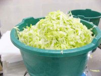 big_shrd09_Shredded_Lettuce(1).jpg