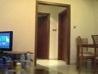 20100221557.jpg