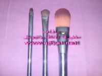 DSC00310.jpg