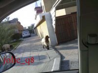 14022007290 copy.jpg