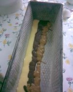 صورةمخ3.jpg صورةمخ3.jpg