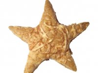 FNmag_Star-Puffs-image_s4x3_lg.jpg
