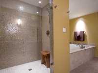DP_bubier-master-shower_s4x3_lg.jpg