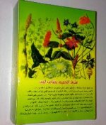 ٢٩٠٤٢٠١٢١١٣.jpg