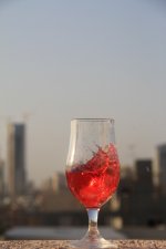IMG_5270 (576 x 864).jpg