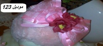201207131198.jpg