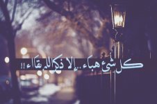 tumblr_n3nvroOJo61s367ulo1_500_zps9c8d89f2.jpg