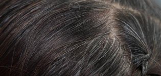 طرق_تقوية_بصيلات_الشعر.jpg طرق_تقوية_بصيلات_الشعر.jpg
