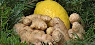 تقوية_جهاز_المناعة_بالاعشاب (1).jpg