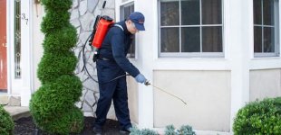 حشرات.jpg حشرات.jpg