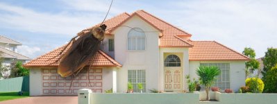 256352.jpg 256352.jpg