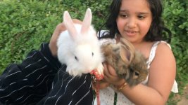 maxresdefault.jpg maxresdefault.jpg