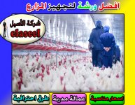 ورشة تصنيع بطاريات ارانب 2.jpg ورشة تصنيع بطاريات ارانب 2.jpg