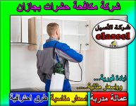 شركة مكافحة حشرات بجازان 1.jpg