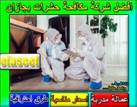 شركة مكافحة حشرات بجازان 2.jpg شركة مكافحة حشرات بجازان 2.jpg