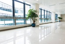 istockphoto-1177553835-612x612.jpg