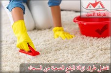 طرق تنظيف السجاد 4.jpg طرق تنظيف السجاد 4.jpg