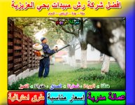مكافحة حشرات حي العزيزية 2.jpg
