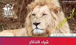 شراء تذاكر جدة جنغل.jpg شراء تذاكر جدة جنغل.jpg