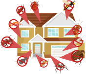 Milberger-Pest-Control-Slider-house-insect.png Milberger-Pest-Control-Slider-house-insect.png