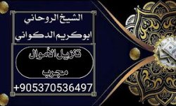 ٢٠٢٢٠٩٢٨_٢٣٠٤٢٧.jpg ٢٠٢٢٠٩٢٨_٢٣٠٤٢٧.jpg