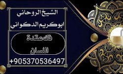 ٢٠٢٢٠٩٢٨_٢٢٤٤٠٤.jpg ٢٠٢٢٠٩٢٨_٢٢٤٤٠٤.jpg