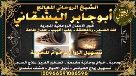 behance_project_1671957647650.jpg