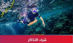 رابط حجز تذاكر رحلات بياضة مالديف جدة.jpg رابط حجز تذاكر رحلات بياضة مالديف جدة.jpg