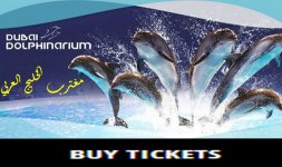 حجز تذاكر دبي دولفيناريوم حجز تذاكر دبي دولفيناريوم