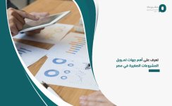 تعرف على أهم جهات تمويل المشروعات الصغيرة في مصر.jpg