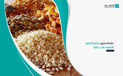 دراسة-جدوى-مصنع-لتصنيع-الأعلاف-المركبة.jpg