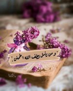 403603d8abdeb550337ad9828795700a.jpg