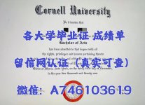 康奈尔大学.jpg 康奈尔大学.jpg