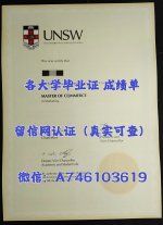 新南威尔士大学.jpg