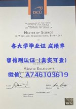 都柏林城市大学.jpg 都柏林城市大学.jpg