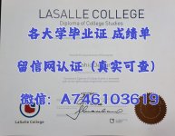 拉萨尔学院.jpg 拉萨尔学院.jpg