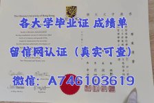香港中文大学ANNA.jpg 香港中文大学ANNA.jpg