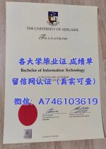 阿德莱德大学.jpg 阿德莱德大学.jpg
